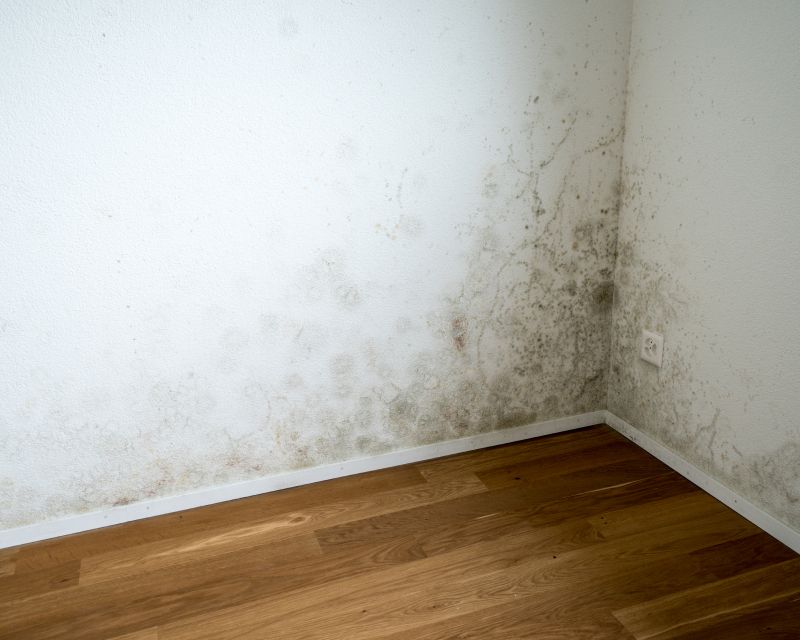 Brauner Schimmel an der Wand